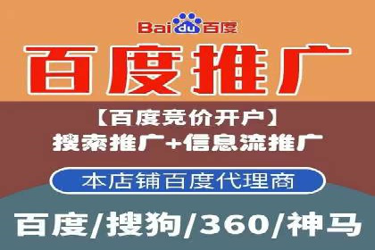 竞价广告赚钱案例：从新手到专家
